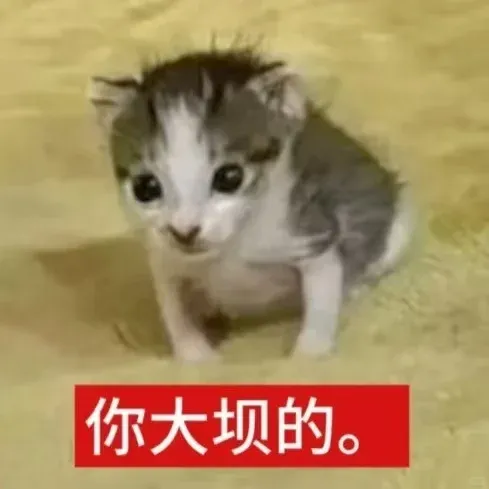 200人规模的甲方,品牌部就1个人,全年预算就3w?-广告人干货库