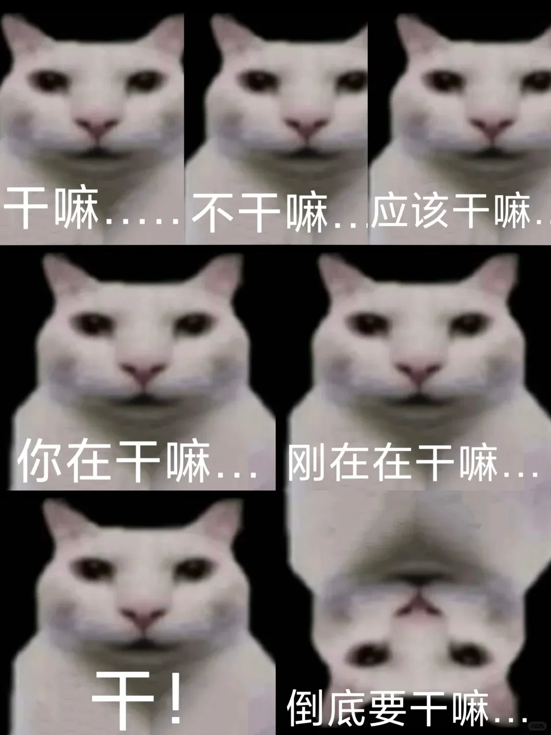 200人规模的甲方,品牌部就1个人,全年预算就3w?-广告人干货库