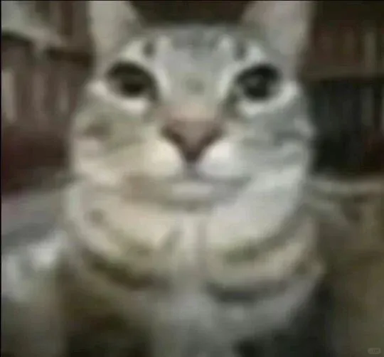 200人规模的甲方,品牌部就1个人,全年预算就3w?-广告人干货库