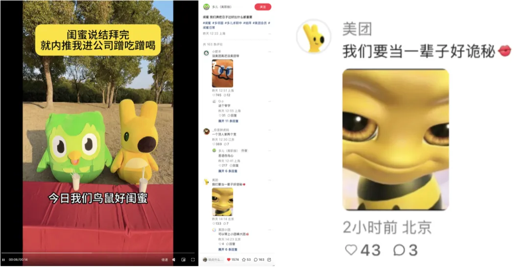 团会员x多邻国：带离职空窗期好闺闺吃香喝辣-广告人干货库
