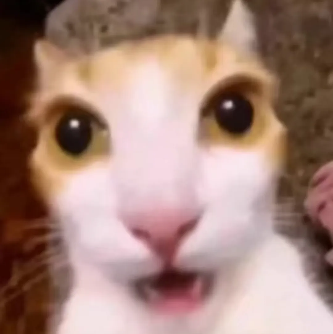 单依纯杀疯了！首个拿下维密代言的00后，“一月一奢” 直接封神。-广告人干货库