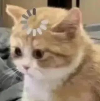 单依纯杀疯了！首个拿下维密代言的00后，“一月一奢” 直接封神。-广告人干货库