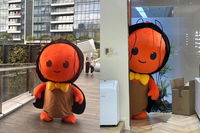 淘小宝：“社交悍匪”养成记-广告人干货库