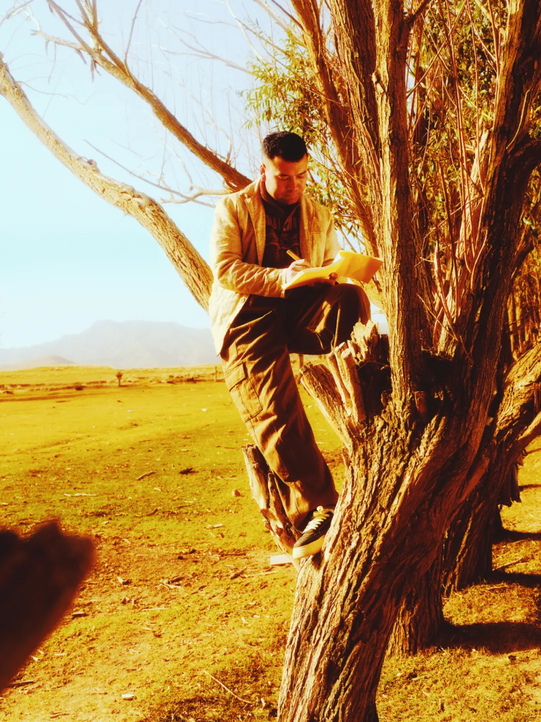 品牌溯源这件事，蕉内多做了一步-广告人干货库