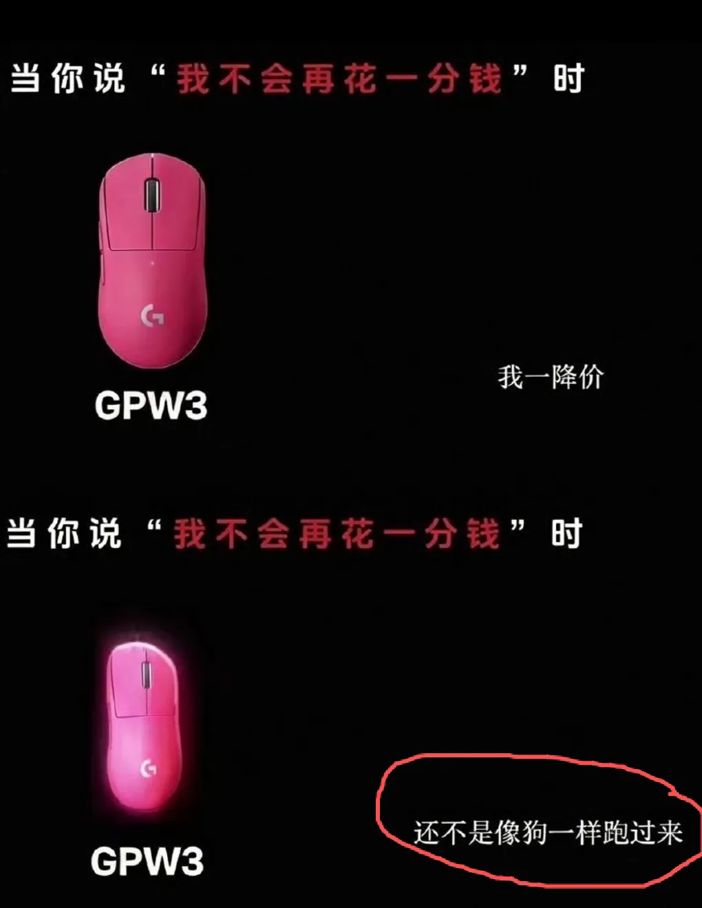 “像狗一样跑过来”?连夜道歉! 罗技广告涉嫌侮辱消费者。-广告人干货库