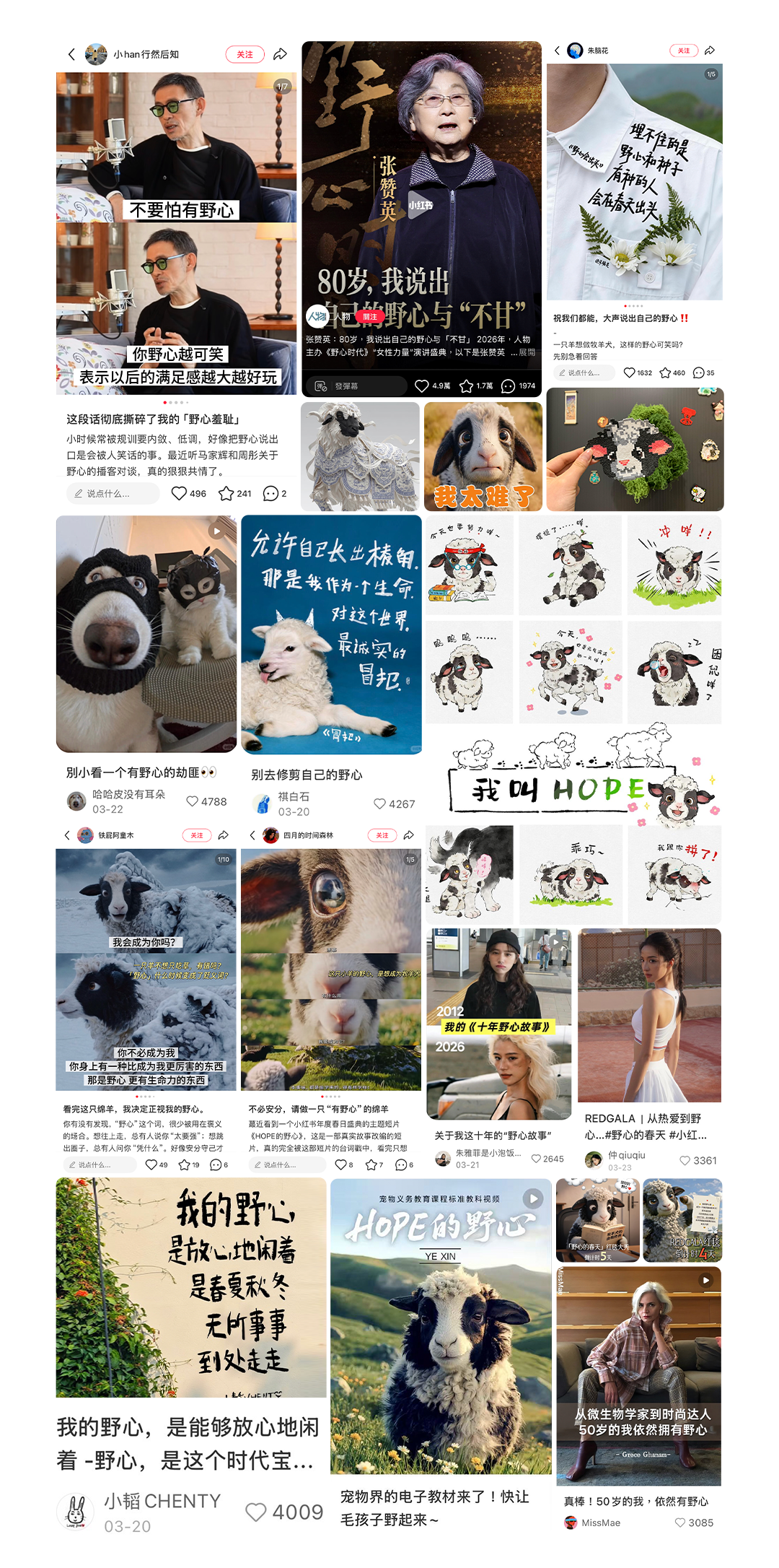 广告人干货库 小红书REDGALA:一只羊能有什么野心-广告人干货库