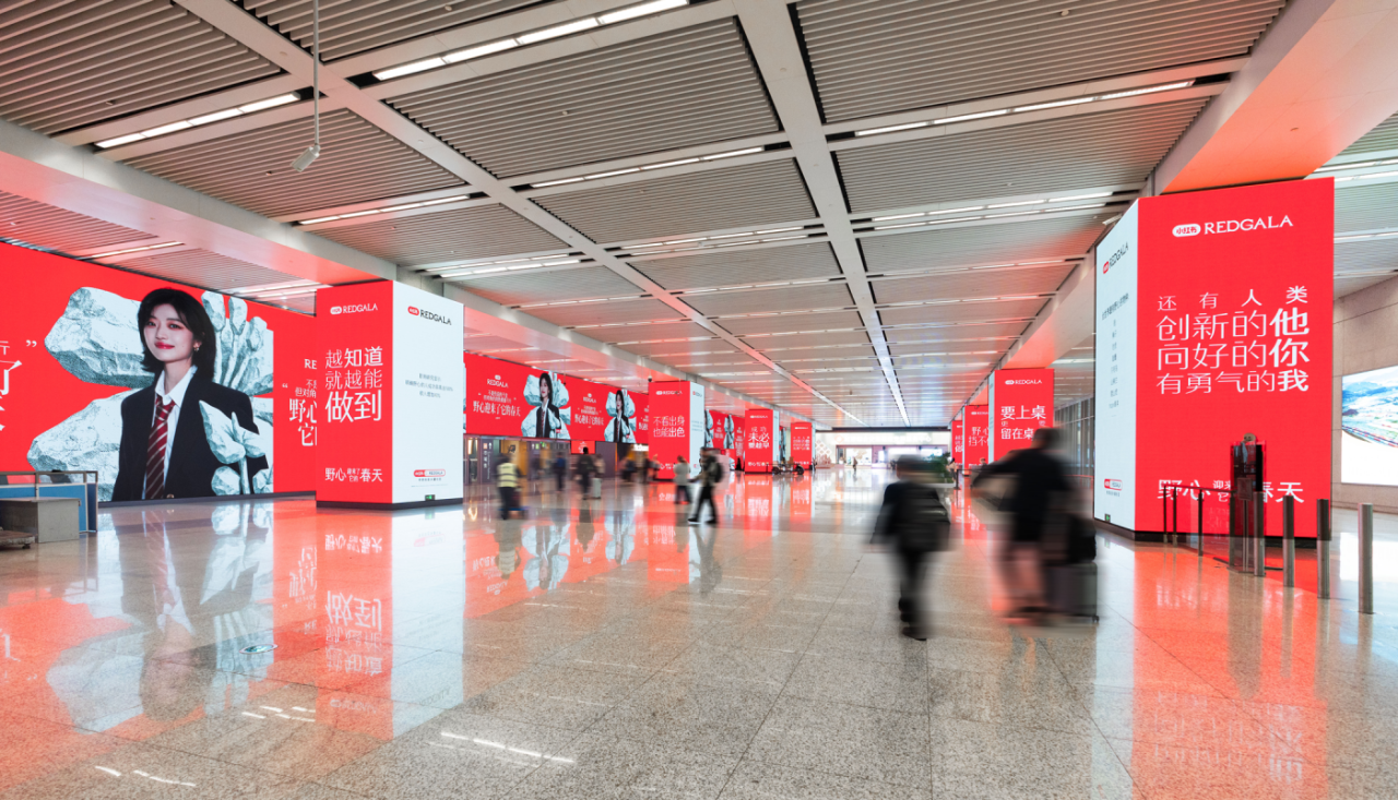 小红书REDGALA：一只羊能有什么野心-广告人干货库