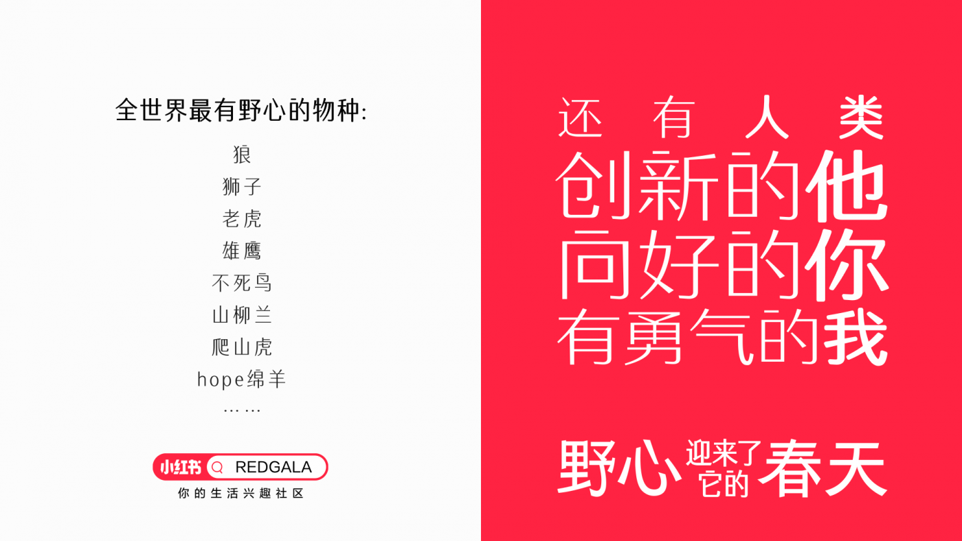 广告人干货库 小红书REDGALA:一只羊能有什么野心-广告人干货库