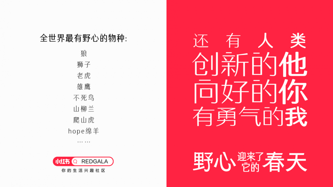 小红书REDGALA：一只羊能有什么野心-广告人干货库