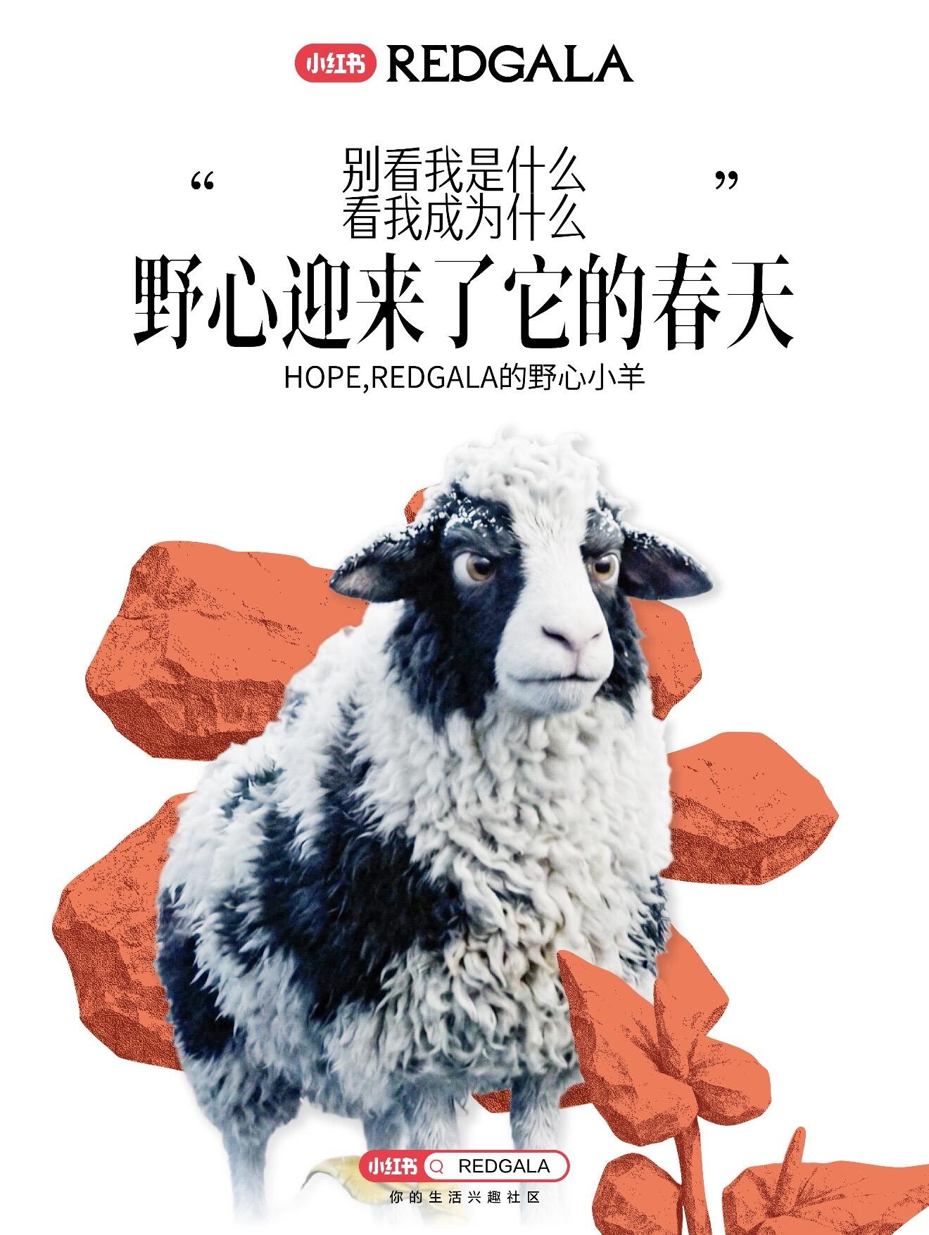 广告人干货库 小红书REDGALA:一只羊能有什么野心-广告人干货库