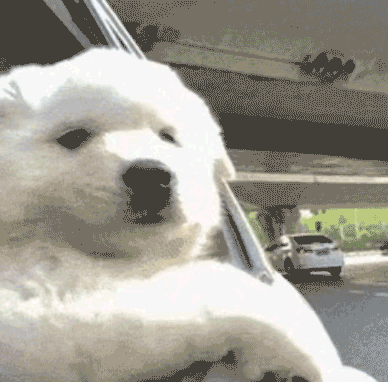 抖音商城焕新季：春天是新的开始，我们都有机会重来-广告人干货库