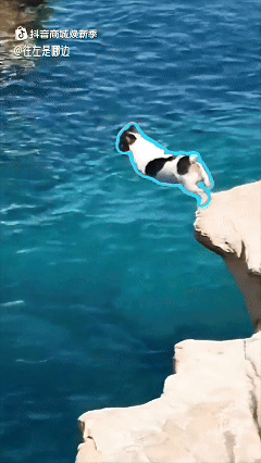 抖音商城焕新季：春天是新的开始，我们都有机会重来-广告人干货库