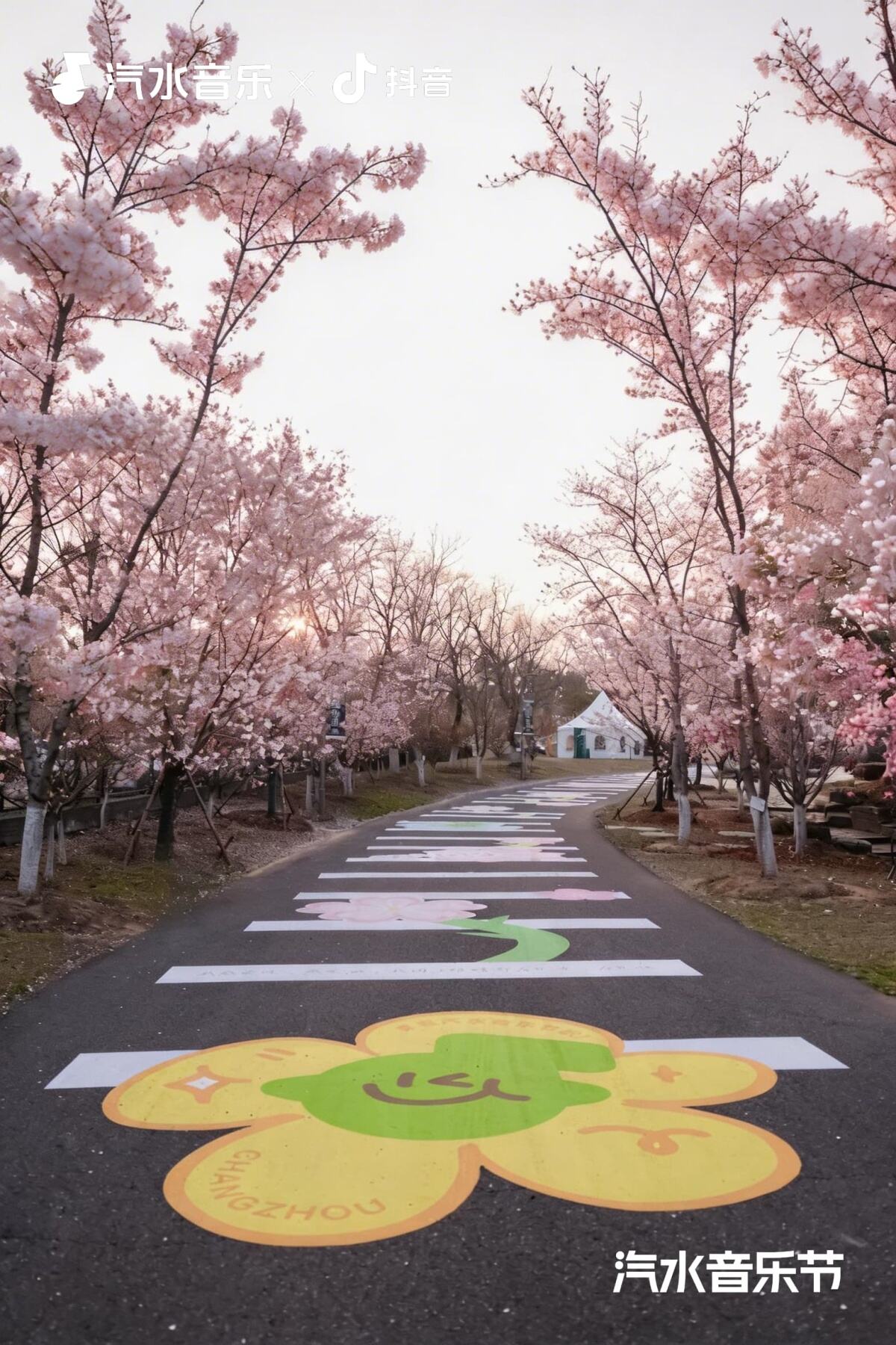 2026常州汽水音乐节：Love哪有Live好！-广告人干货库