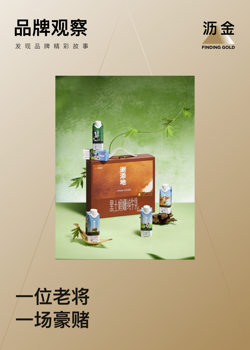 广告人干货库 谢添地的18个月:一个特仑苏人的野心与失败-广告人干货库