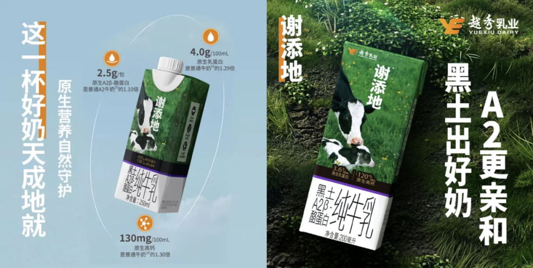 广告人干货库 谢添地的18个月:一个特仑苏人的野心与失败-广告人干货库