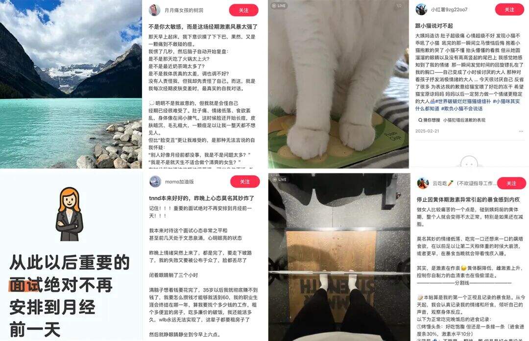 广告人干货库 OPPO手表×孙颖莎:关注女性的450个周期-广告人干货库