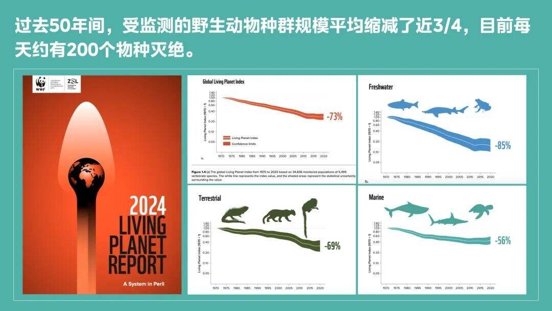 美的集团地球日广告：Earth Day · Birthday-广告人干货库