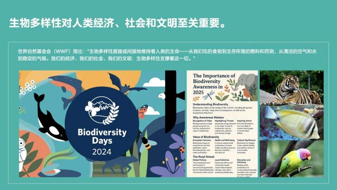 美的集团地球日广告：Earth Day · Birthday-广告人干货库