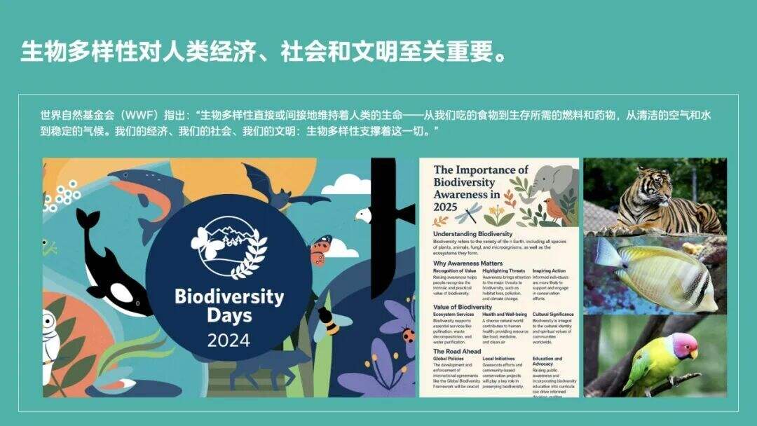 美的集团地球日广告：Earth Day · Birthday-广告人干货库