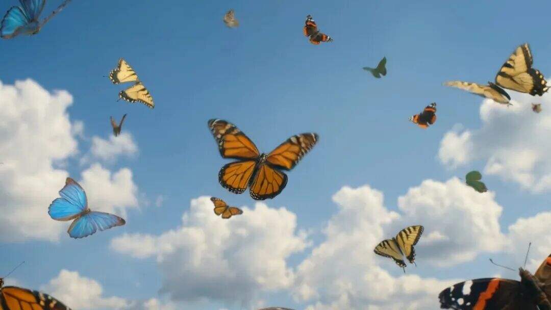 美的集团地球日广告：Earth Day · Birthday-广告人干货库