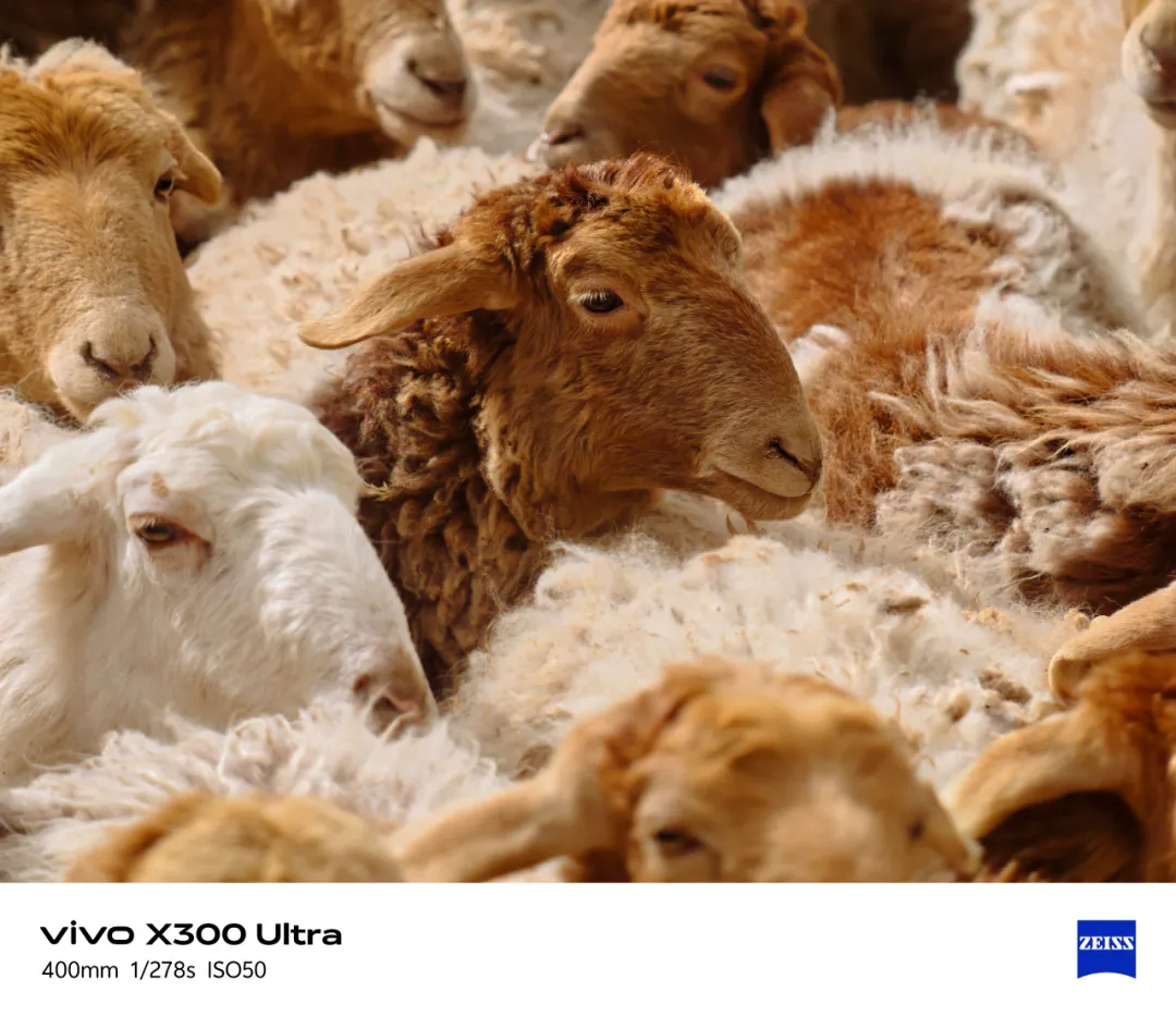 vivo:我们为何一次次奔向远方?-广告人干货库