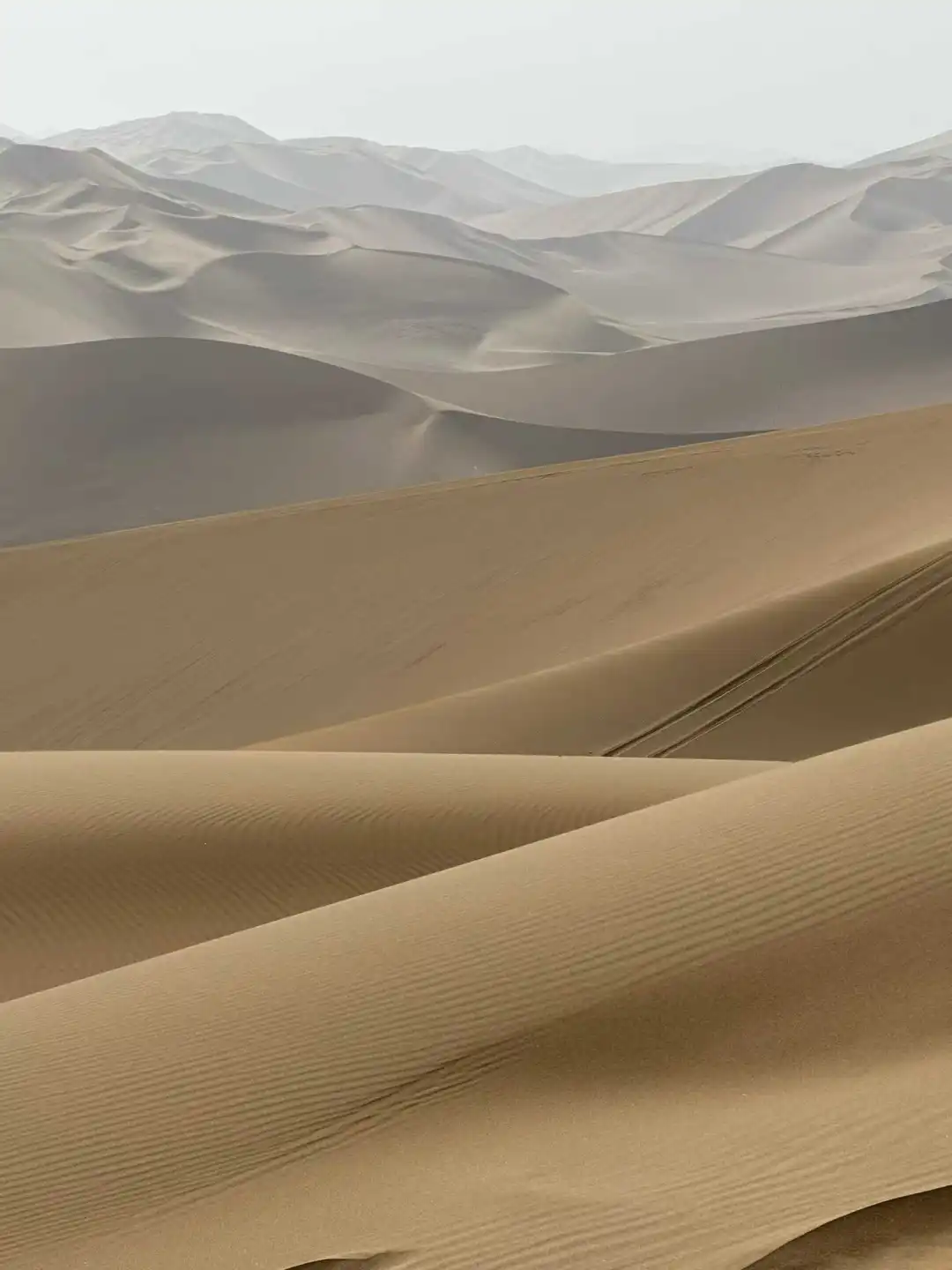 vivo:我们为何一次次奔向远方?-广告人干货库