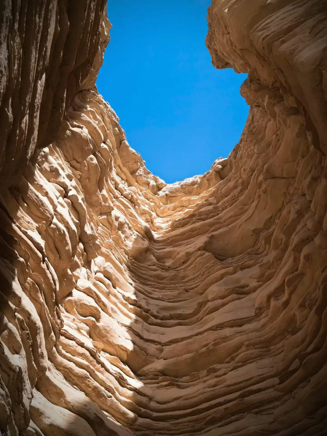 vivo:我们为何一次次奔向远方?-广告人干货库