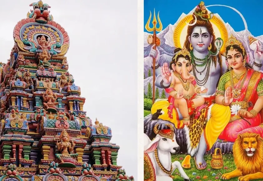 这回华杉把超级符号美学讲透了!-广告人干货库