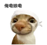 没想到，杜蕾斯的公益广告也这么有活！-广告人干货库