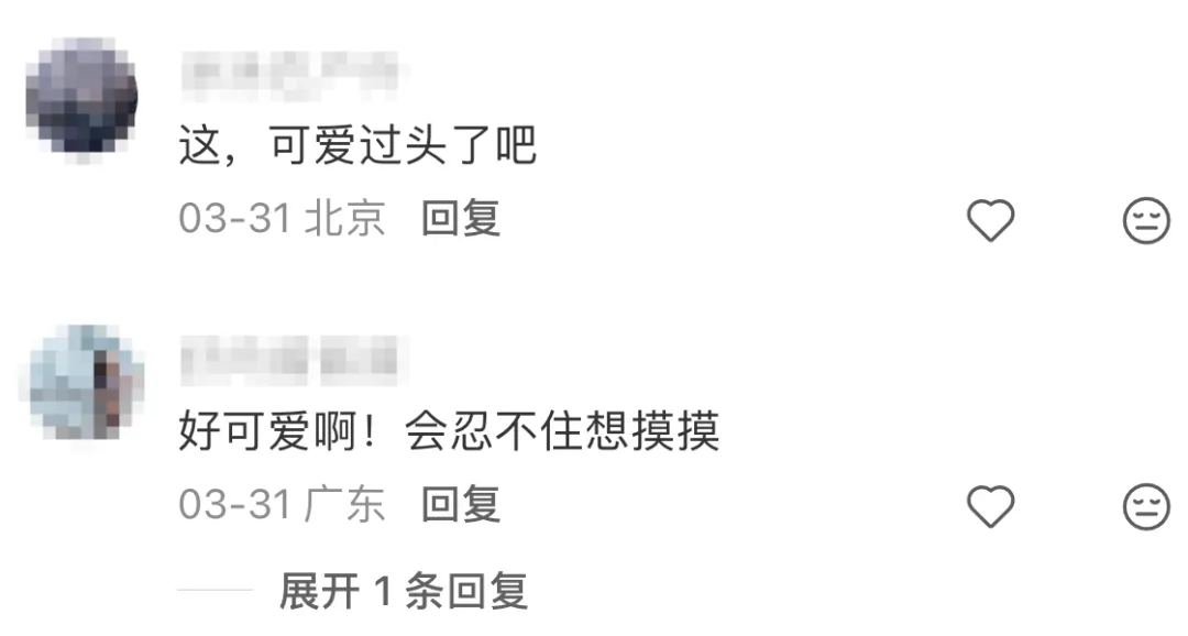 美团将减重广告，玩活了！-广告人干货库