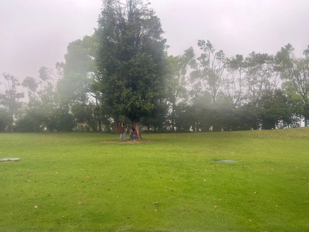 有些人年轻得也太…露骨了吧！-广告人干货库