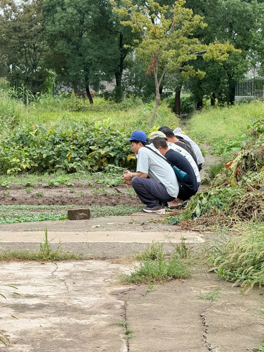 意类 | 这片子从发布到凉凉用了9天-广告人干货库