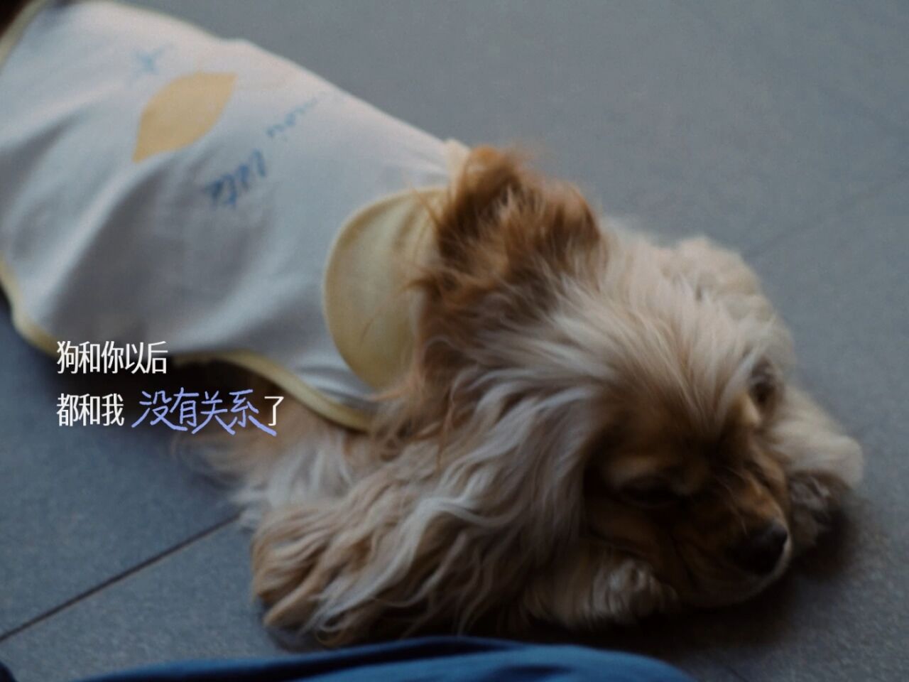 RIO强爽520：真心话台阶，专治爱情的嘴硬心软-广告人干货库