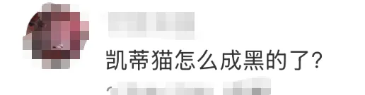 瑞幸疯了!联名黑皮Hello Kitty,被网友狂问:为啥不给孩子涂防晒?-广告人干货库