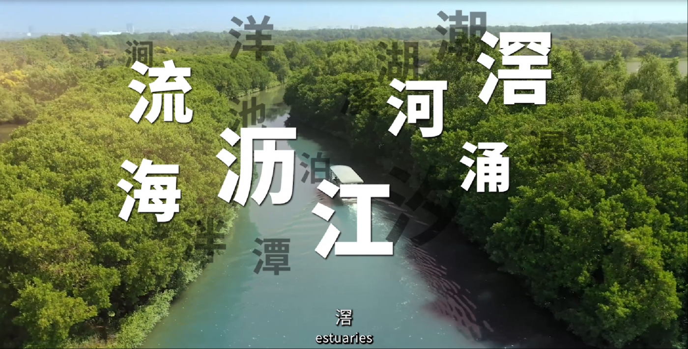 广告人干货库 广州城市宣传片《潮》 :城市品牌形象的“降维叙事”-广告人干货库