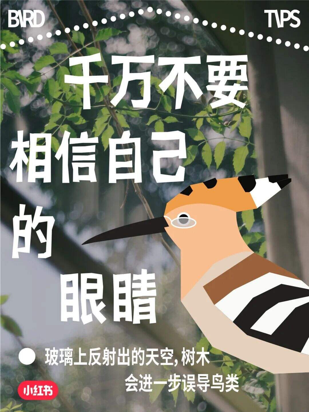 这场玻璃更新 改变了我的世界-广告人干货库