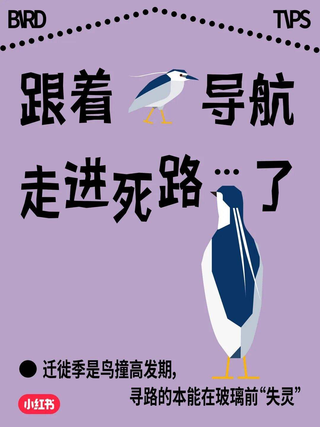 这场玻璃更新 改变了我的世界-广告人干货库
