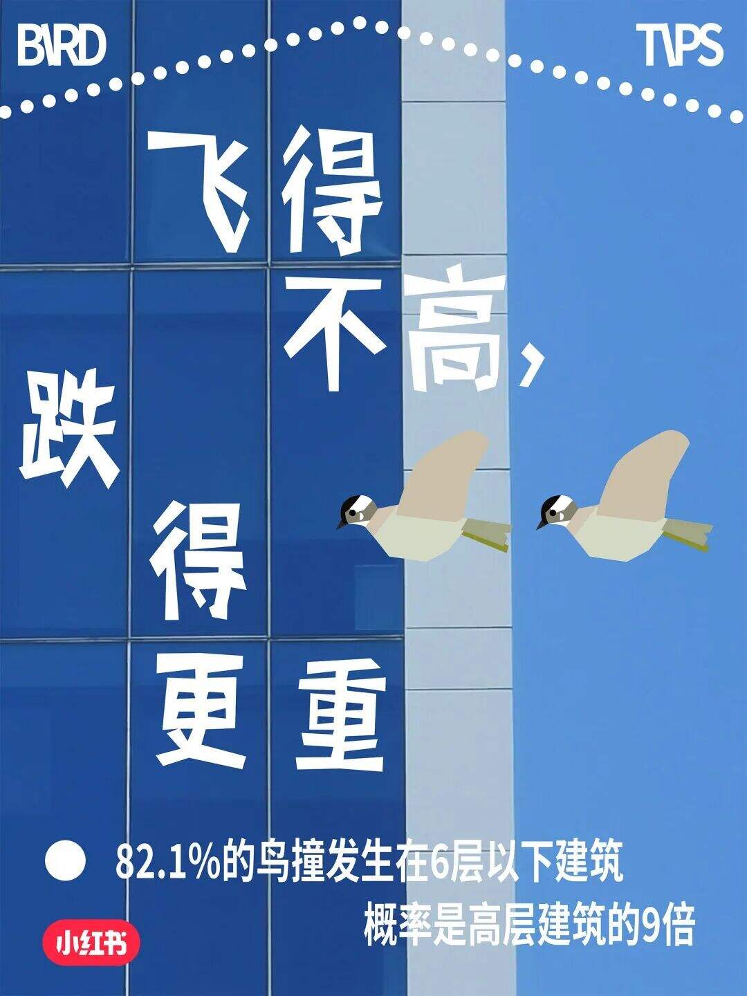 这场玻璃更新 改变了我的世界-广告人干货库