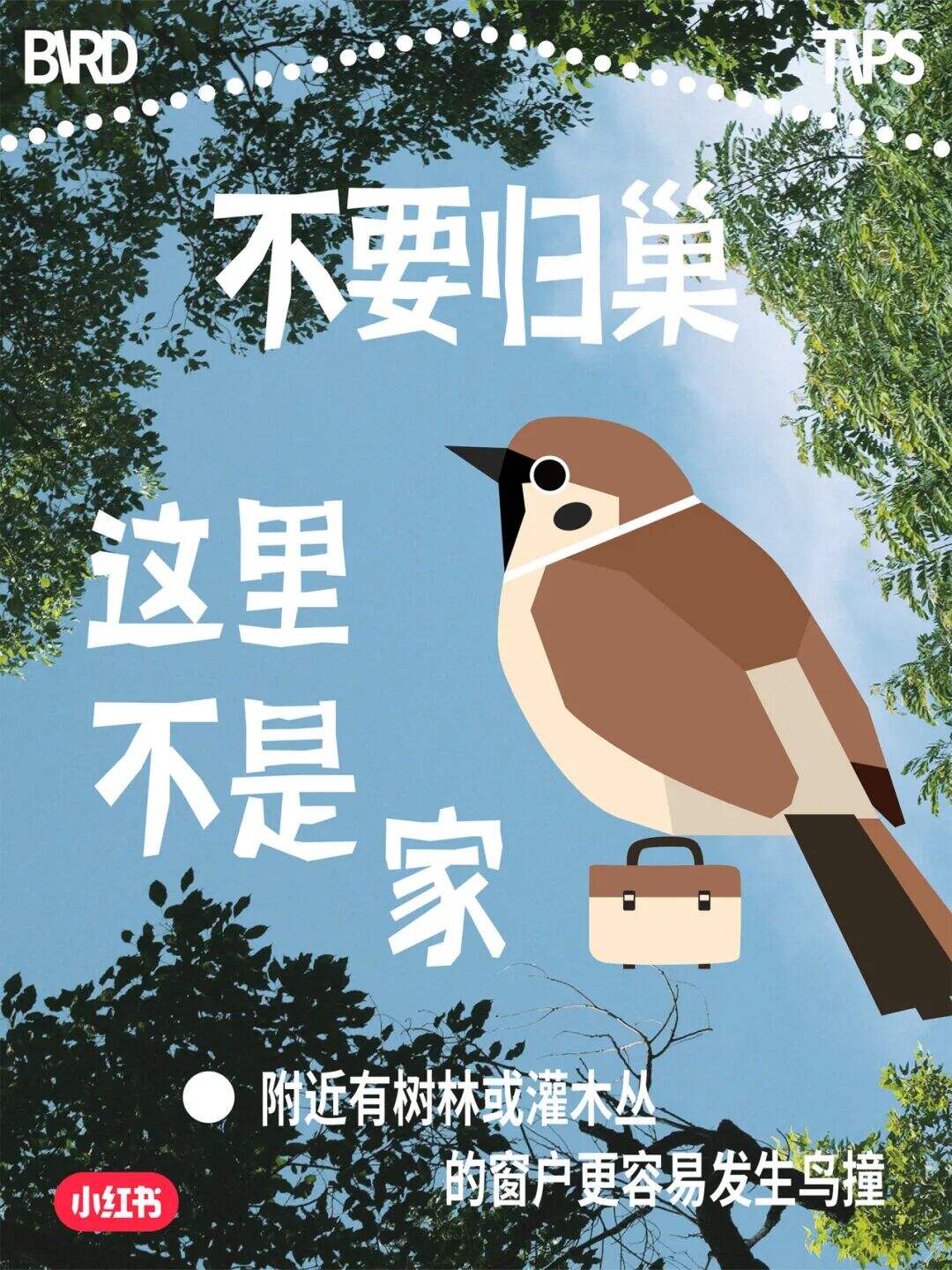 这场玻璃更新 改变了我的世界-广告人干货库