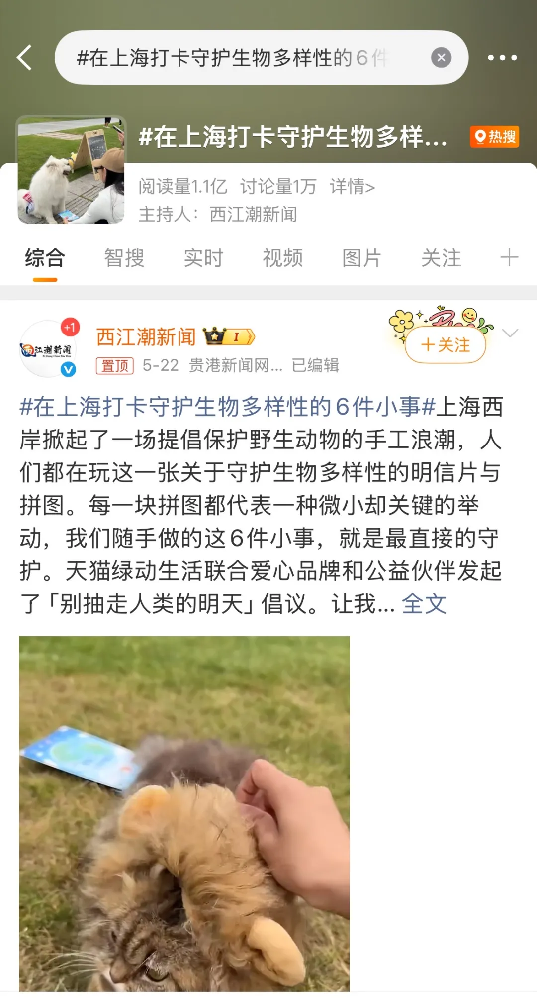 地球版叠叠乐：别手欠，抽走的可能是人类的明天-广告人干货库