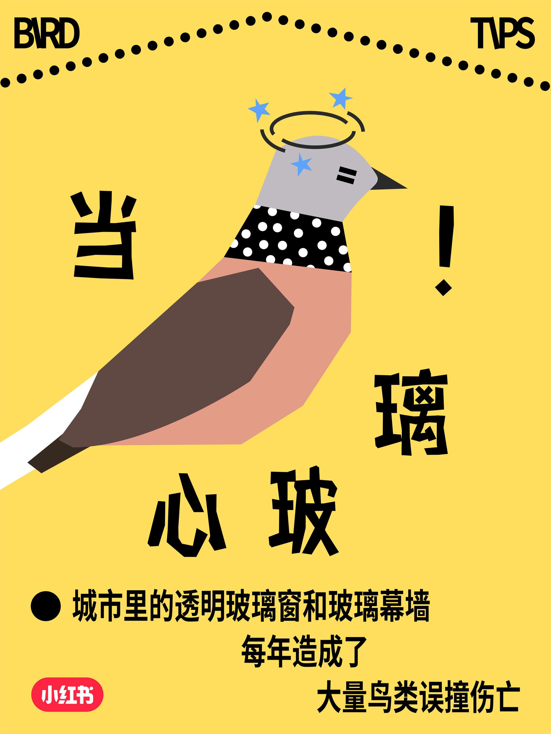 小红书爱鸟日公益：这场玻璃更新，改变了我的世界-广告人干货库