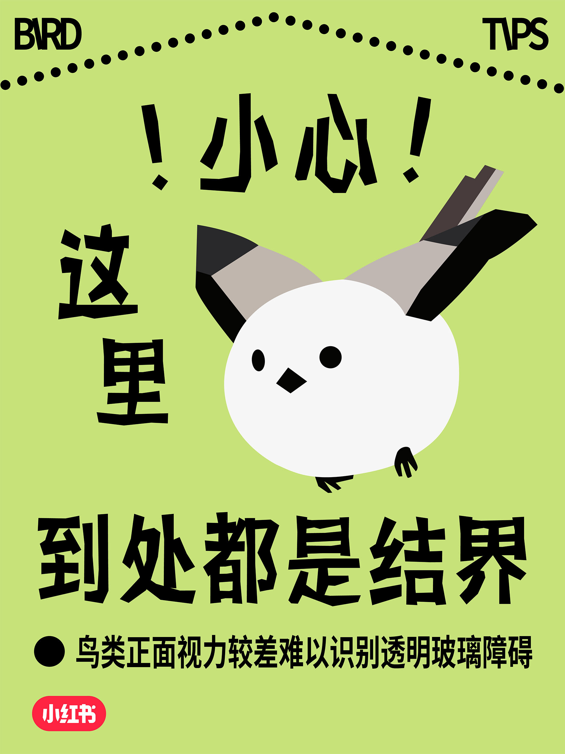 小红书爱鸟日公益：这场玻璃更新，改变了我的世界-广告人干货库