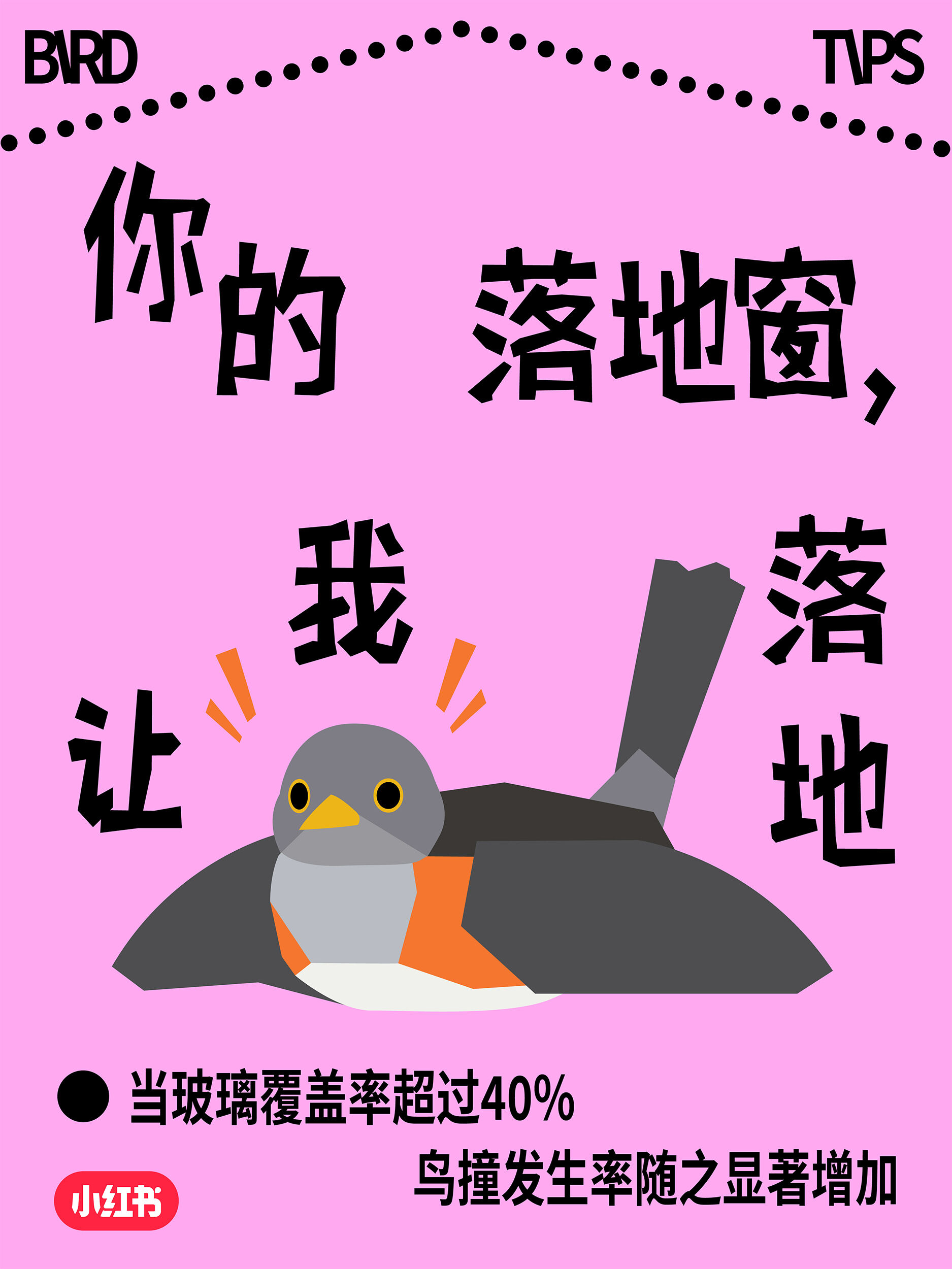 小红书爱鸟日公益：这场玻璃更新，改变了我的世界-广告人干货库