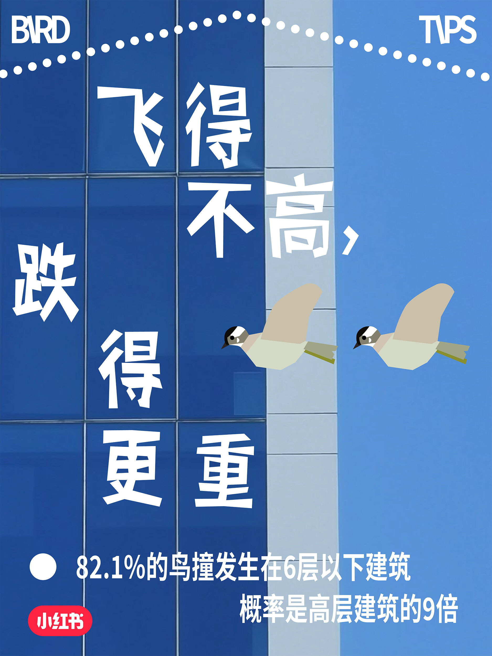 小红书爱鸟日公益：这场玻璃更新，改变了我的世界-广告人干货库