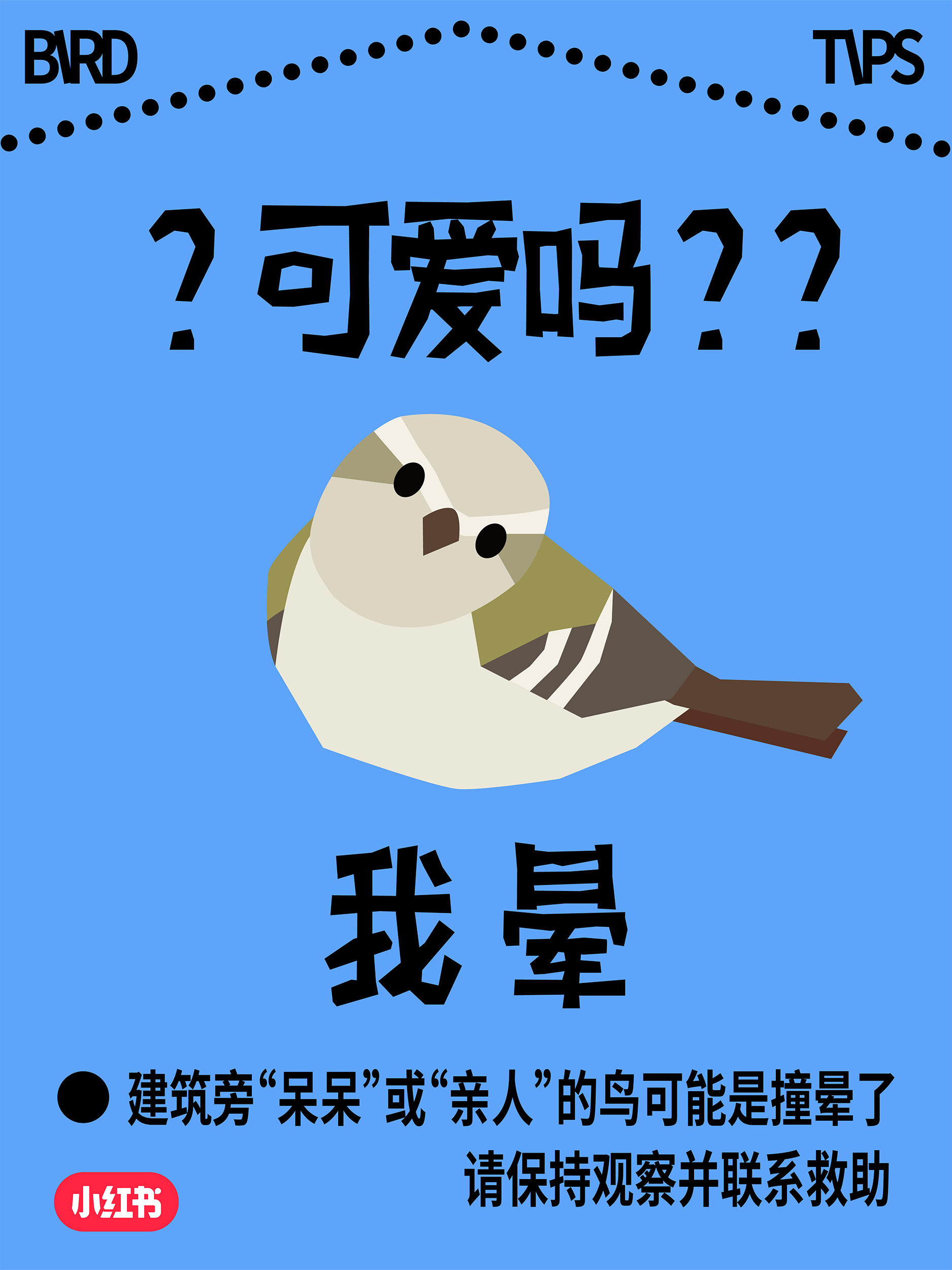 小红书爱鸟日公益：这场玻璃更新，改变了我的世界-广告人干货库