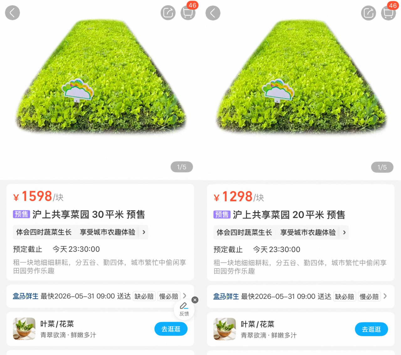 偷菜DNA动了!盒马在App里种了一片菜园-广告人干货库