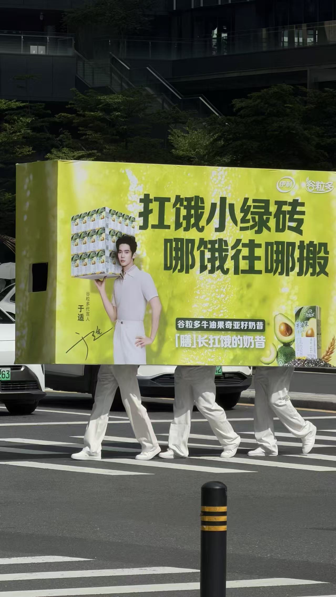 于适带