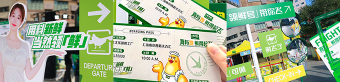 广告人干货库 太太乐:首座领鲜飞「鸡」场,鲜得起飞-广告人干货库