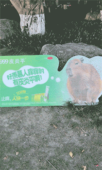 广告人干货库 999皮炎平,做了一组会自己“蹭痒”的广告牌-广告人干货库