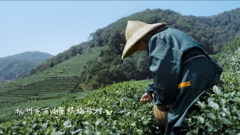 广告人干货库 一家国产香氛品牌,用纪录片溯源香气里的中国植物-广告人干货库